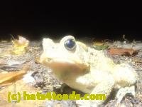 /home//u458753944/public_html/sourcegallery////////////////////////McKaig Nature Center/2024-09-27/P9271611.JPG